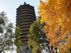 -玲珑塔公园