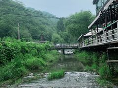 -Local泰莲庭(虹鳟鱼店)