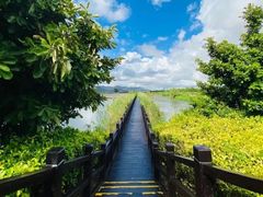 -芒洲湿地公园