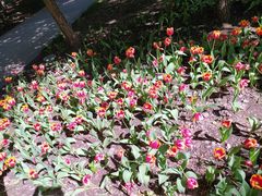 -长春公园(普阳街道)