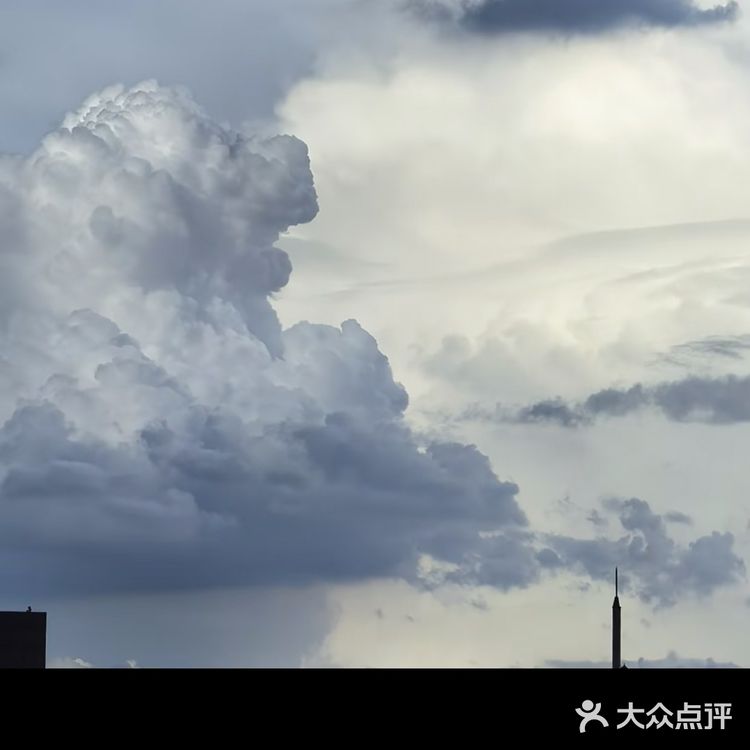 我的咖啡品鉴日记