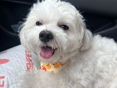 -FAELING PETS美天灵宠物(富力广场店)