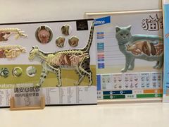 -御宝贝·A梦猫科宠物医院(国际猫友好医院)