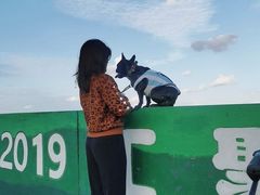 -南汇嘴观海公园