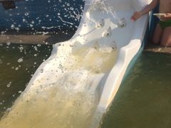 -宁波杭州湾海底温泉
