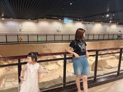 -洛阳周王城天子驾六博物馆