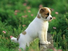 -敬亭山风景名胜区