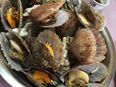 -宾朋海鲜美食特色餐厅·纯手工鲅鱼水饺(兴海路店)