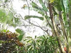 -海南热带野生动植物园