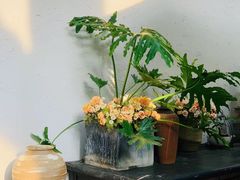 -云里小坐·小院里·团建·宴请·下午茶(三圣乡店)
