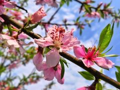 -玻璃桥景区石牛寨