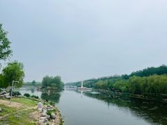 -马家湾湿地公园