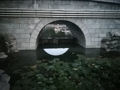 -莲湖公园