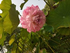 -南戴河国际娱乐中心