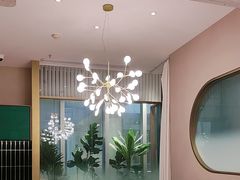 -佬肥猫(七宝宝龙店)