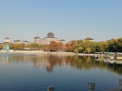 -莲花池公园