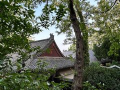 -蓬莱阁景区