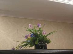 -若石足道SPA 连锁(丹东街店)