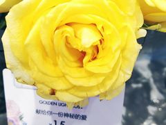 -花邻FloweringLife花艺气球派对(武康大楼店)