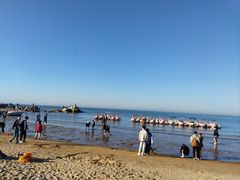 -老虎石海上公园