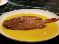 鸡油蒸风干东星斑-甄御•海鲜新青岛菜(麦岛店)