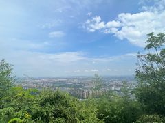 -杭州半山国家森林公园