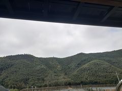 -莫干山风景区