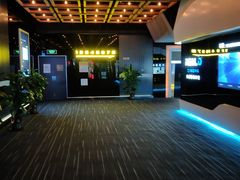 -奥斯卡升龙国际影城(RealD Cinema)