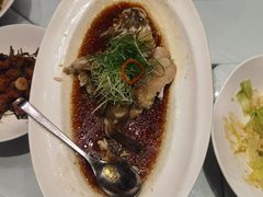 -沪碟·精菜坊(闵行店)