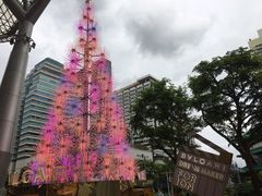 -爱雍·乌节
