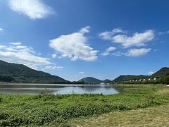 -风云岭森林公园