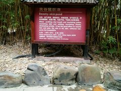 -森波拉火山温泉