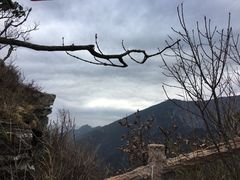 -牛背梁国家森林公园