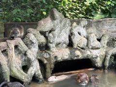 -海南热带野生动植物园