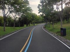 -牛岗山公园