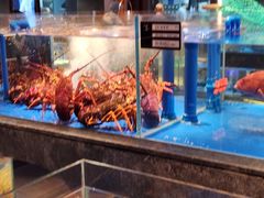 -上和臻品中国菜(花园街店)