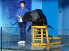 -苏州海洋馆