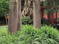 -成都武侯祠博物馆