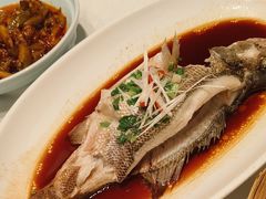 -红樱桃·新派辽菜(北行店)