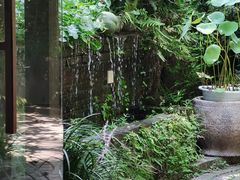 -野蔓果·山野菜(西湖景区·龙井茶田店)