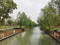 -九科绿洲