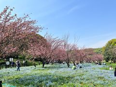 -苏州上方山国家森林公园