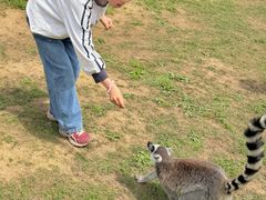 -杭州野生动物世界
