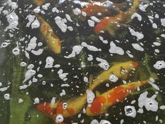 -伟记牛蹄(道滘店)