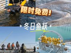 -南京金牛湖风景区