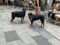 -RAC BAR(安福路店)