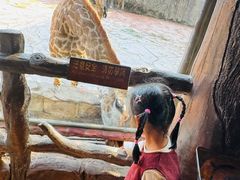 -长鹿旅游休博园