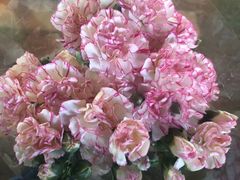 -循礼门鲜花花市(武汉循礼门店)