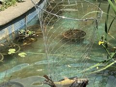 -田园印象·成都土菜院子(华阳店)