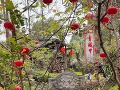 -青城甲(青城山店)